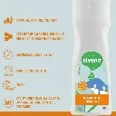 6.webp