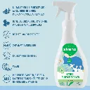 10.webp